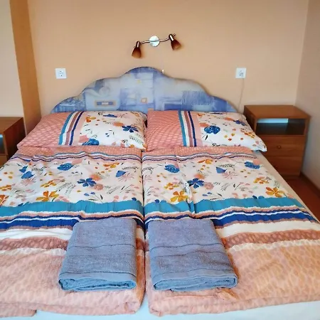 Monika Vendeghaz Guest house *