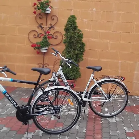 בית הארחה Monika Vendeghaz אגרסאלוק